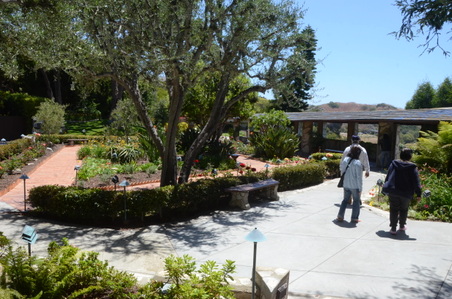 Enlarge photo 42