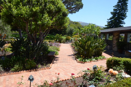 Enlarge photo 43