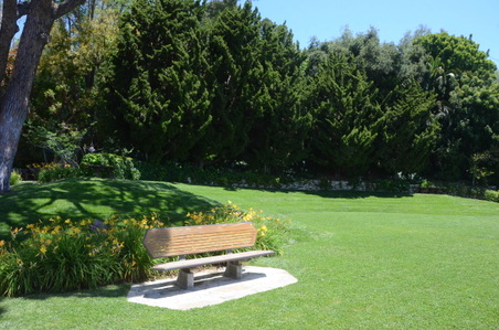Enlarge photo 46