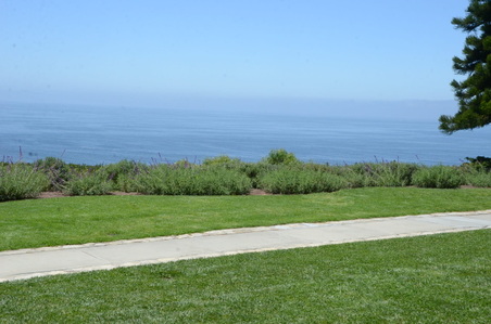 Enlarge photo 50