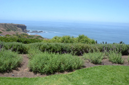 Enlarge photo 51