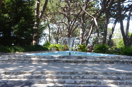 Enlarge photo 54