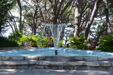 Enlarge photo 55