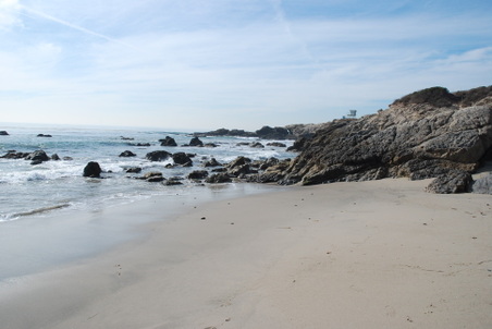 Enlarge photo 30