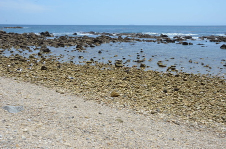 Enlarge photo 22