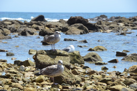 Enlarge photo 24