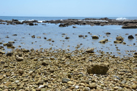 Enlarge photo 23