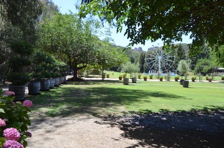 Enlarge photo 1