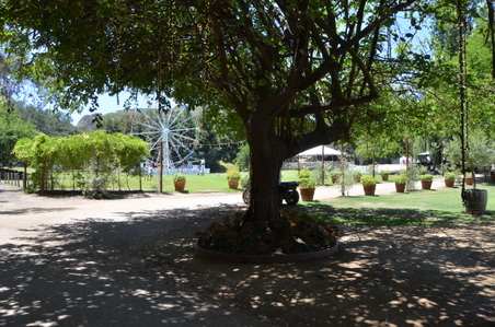 Enlarge photo 3