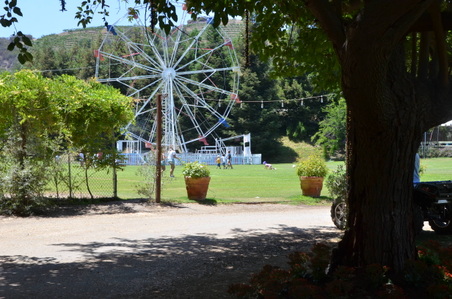 Enlarge photo 4