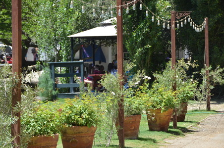 Venues