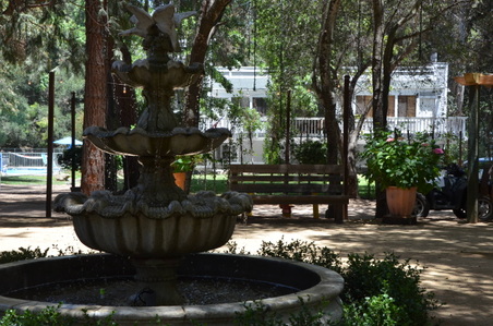 Enlarge photo 17