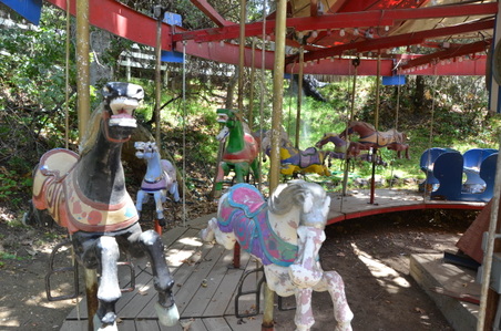 Enlarge photo 25