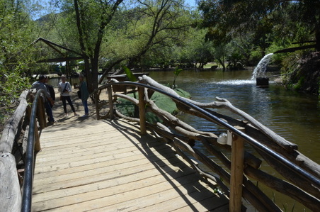 Enlarge photo 16