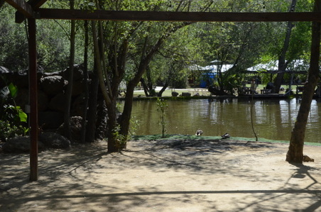 Enlarge photo 19