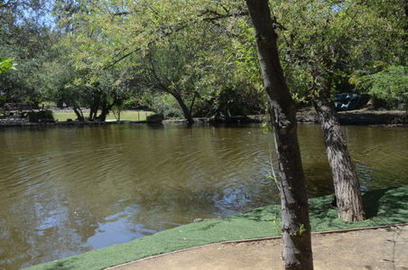 Enlarge photo 20