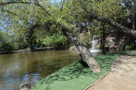 Enlarge photo 22