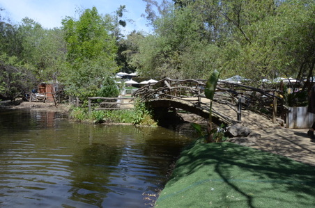 Enlarge photo 23