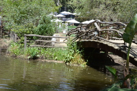 Enlarge photo 24