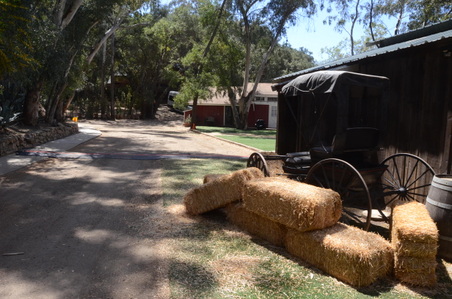 Enlarge photo 11