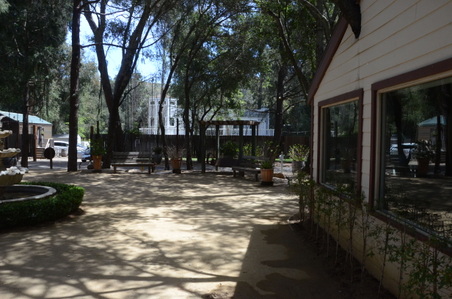 Enlarge photo 40