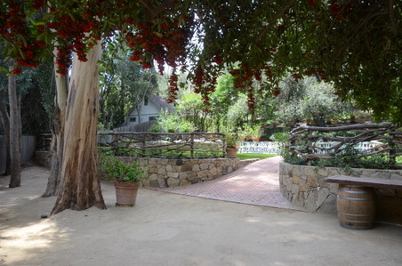 Enlarge photo 41