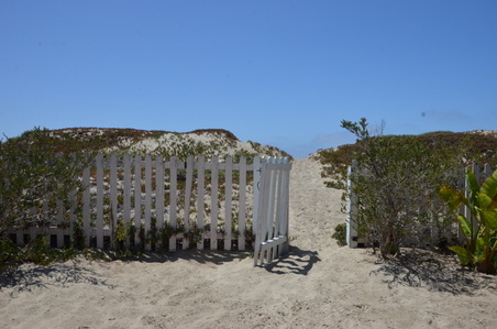Enlarge photo 42