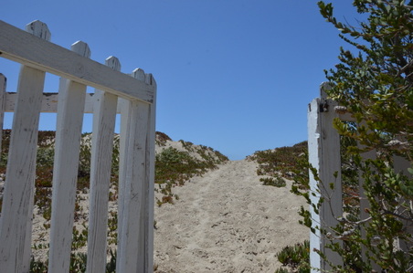 Enlarge photo 43