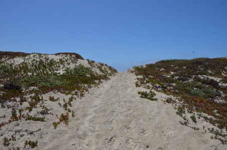 Enlarge photo 44