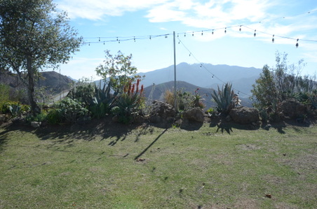 Enlarge photo 10