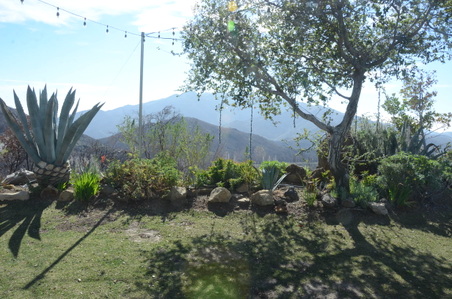 Enlarge photo 12