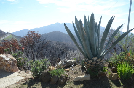 Enlarge photo 15