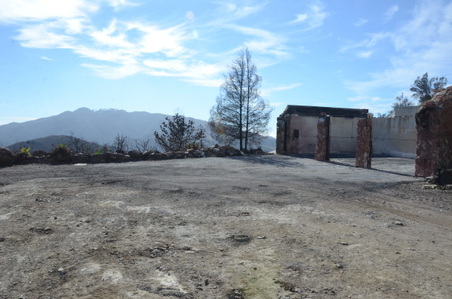 Enlarge photo 21