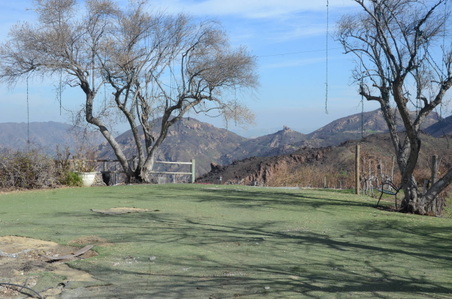 Enlarge photo 24