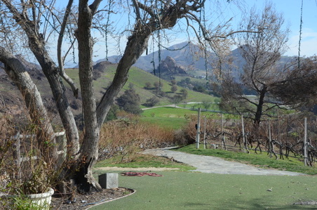 Enlarge photo 28