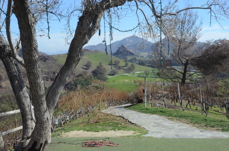 Enlarge photo 30