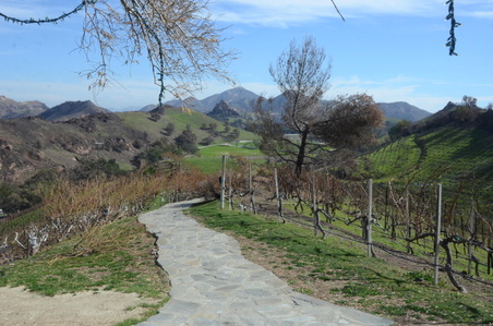 Enlarge photo 31