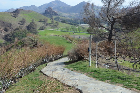 Enlarge photo 33
