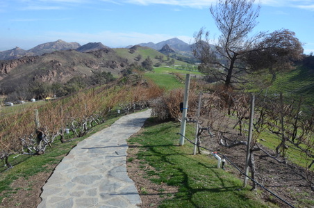 Enlarge photo 34