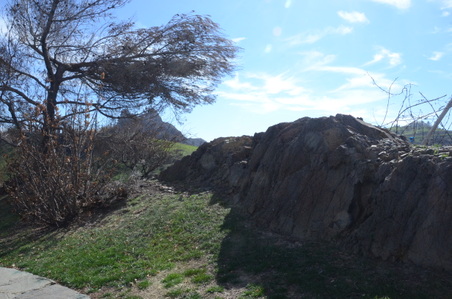Enlarge photo 36