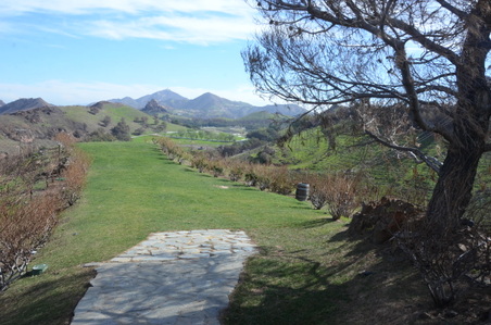 Enlarge photo 37