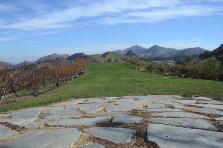 Enlarge photo 38