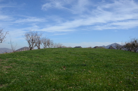 Enlarge photo 39