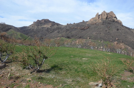 Enlarge photo 40