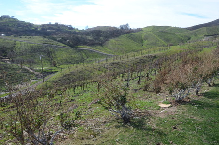 Enlarge photo 44