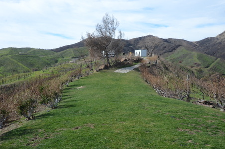 Enlarge photo 43