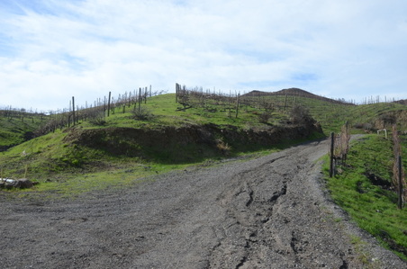 Enlarge photo 47