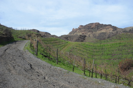 Enlarge photo 48