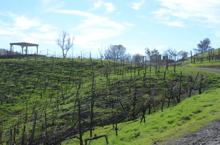 Enlarge photo 49