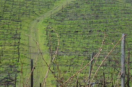 Enlarge photo 61